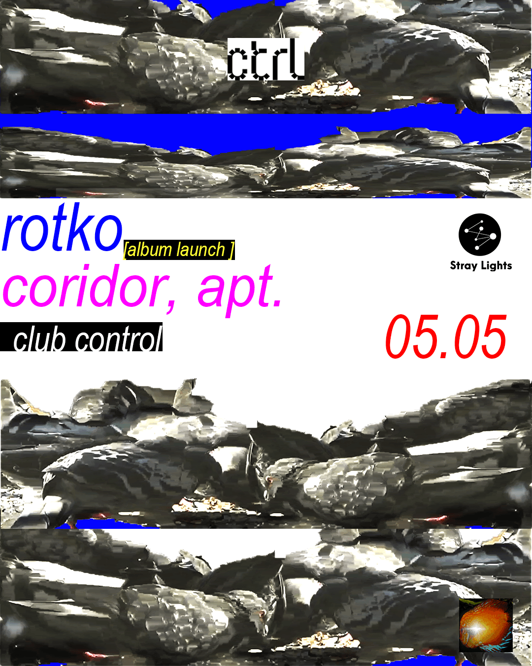 Stray Lights Showcase: Rotko [Album Launch] & Coridor Apt.