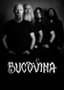 Bucovina